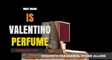 Discovering the Luxury Brand Behind Valentino Perfume: A Comprehensive Guide