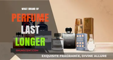 Long-Lasting Fragrances: Top Brands for Enduring Perfume Scents