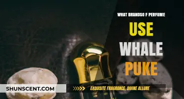 Whale Puke in Perfumes: Brands Using Ambergris Revealed