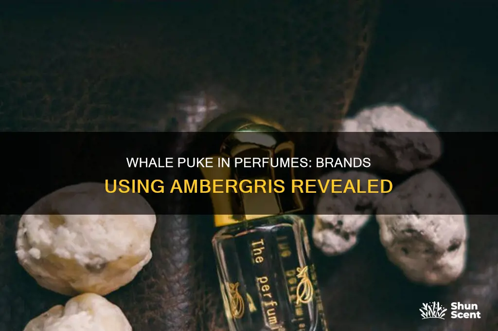 what brandso f perfume use whale puke