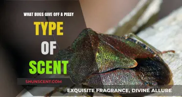 Unpleasant Odors: Bugs That Emit a Strong Urine-Like Smell
