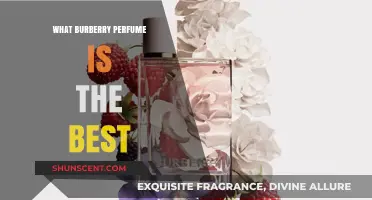 Discover the Best Burberry Perfume: A Scent Lover's Guide