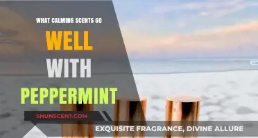 Peppermint Pairings: Soothing Scents to Enhance Relaxation and Refreshment