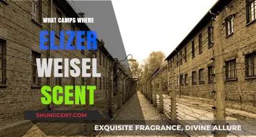 Elie Wiesel's Harrowing Journey Through Nazi Concentration Camps