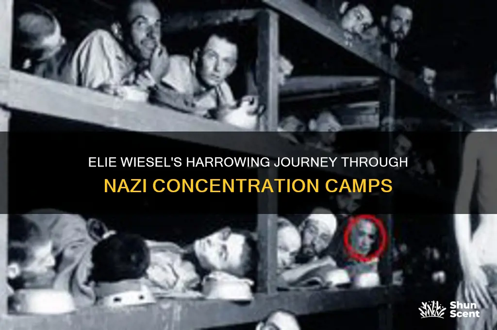 what camps where elizer weisel scent