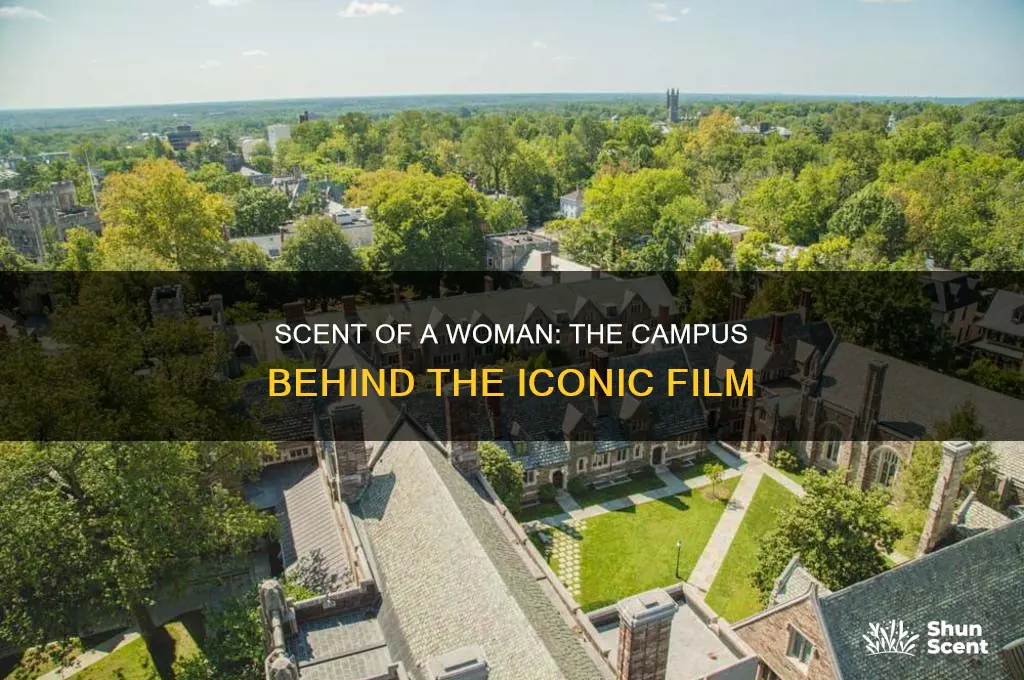what campus was used in film scent of a wome