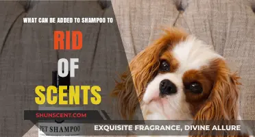 Eliminate Unwanted Scents: Natural Additives to Freshen Your Shampoo
