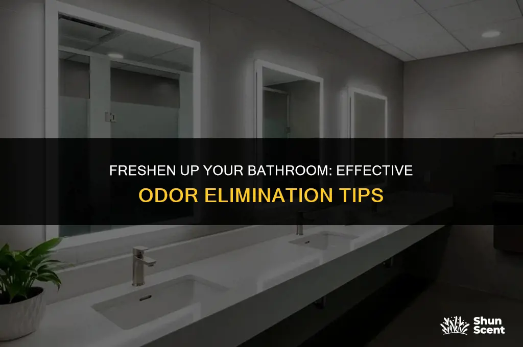what can be used to get rid of bathroom odor