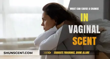 Understanding Vaginal Odor Changes: Causes and When to Seek Advice