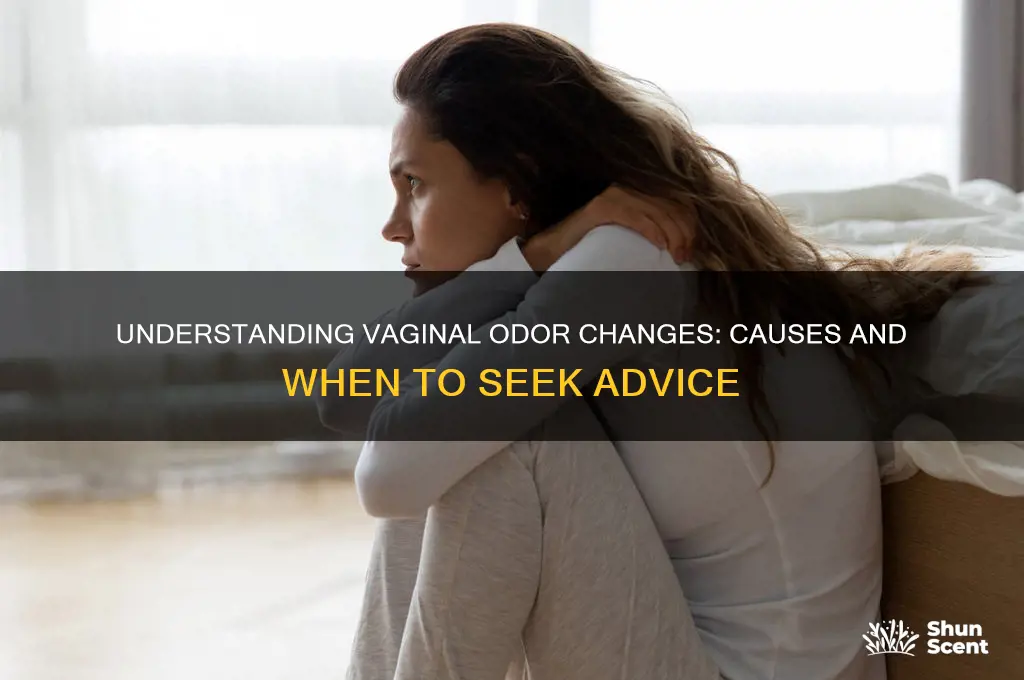 what can cause a change in vaginal scent
