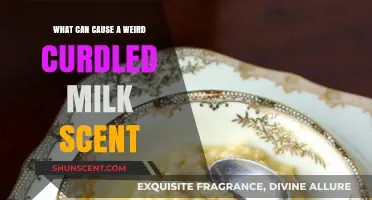 Unraveling the Mystery: What Causes a Curdled Milk Smell?