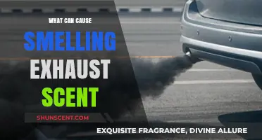 Why Your Car's Exhaust Smell Lingers: Common Causes Explained