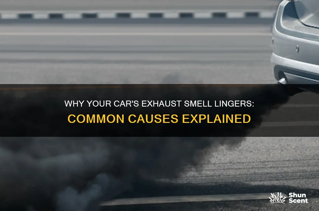 what can cause smelling exhaust scent