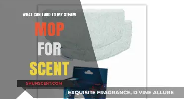Enhance Your Steam Mop with Aromatic Additions for a Fresh Scent
