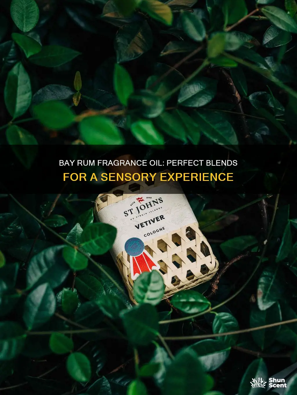 what can i mix with bay rum fragrance oil