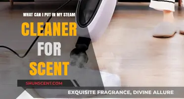 Freshen Your Home: Best Scents to Add to Your Steam Cleaner