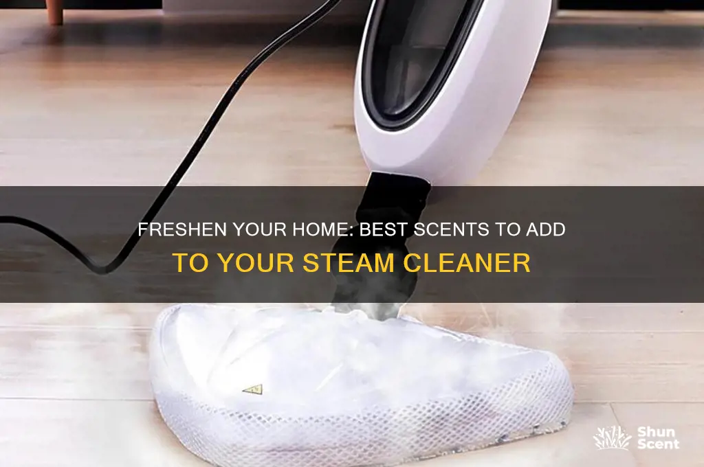 what can i put in my steam cleaner for scent