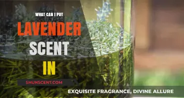 Creative Ways to Infuse Lavender Scent into Everyday Items and Spaces