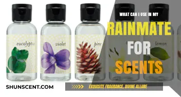 Enhance Your Rainmate: Best Scents and Essential Oils to Use