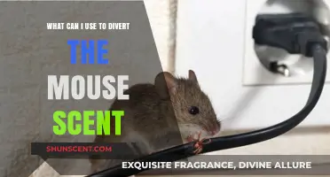 Effective Ways to Mask Mouse Scents and Deter Rodents Naturally
