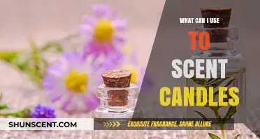 Discover the Best Scents and Oils for Crafting Aromatic Candles