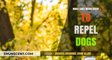 Dog-Repelling Scents: What to Wear to Keep Canines at Bay