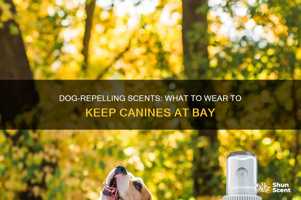 what can i wear scent to repel dogs
