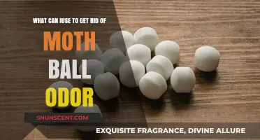 Effective Ways to Eliminate Mothball Odor from Your Space