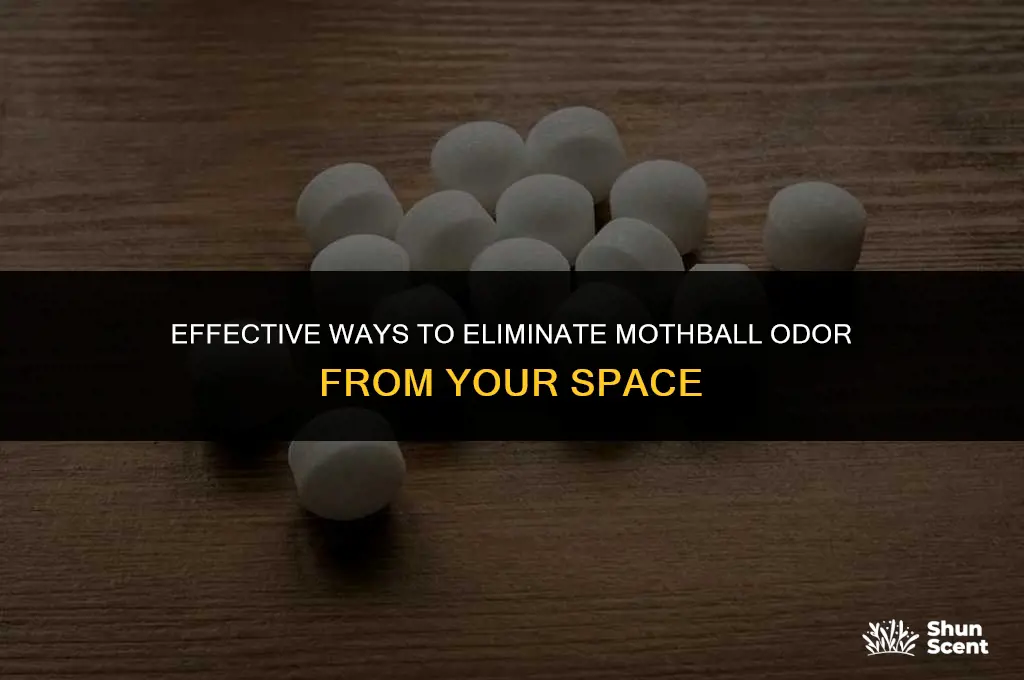 what can iuse to get rid of moth ball odor