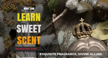 Unlocking Nature's Secrets: What We Can Learn from Sweet Scents