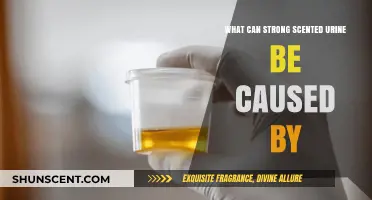 Strong Scented Urine: Causes, Concerns, and When to Seek Help