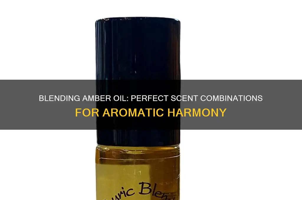 what can you blend amber oil with for scents