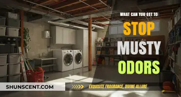Freshen Up: Effective Solutions to Eliminate Musty Odors