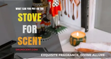 Aromatic Stove Simmers: Natural Scents to Freshen Your Home