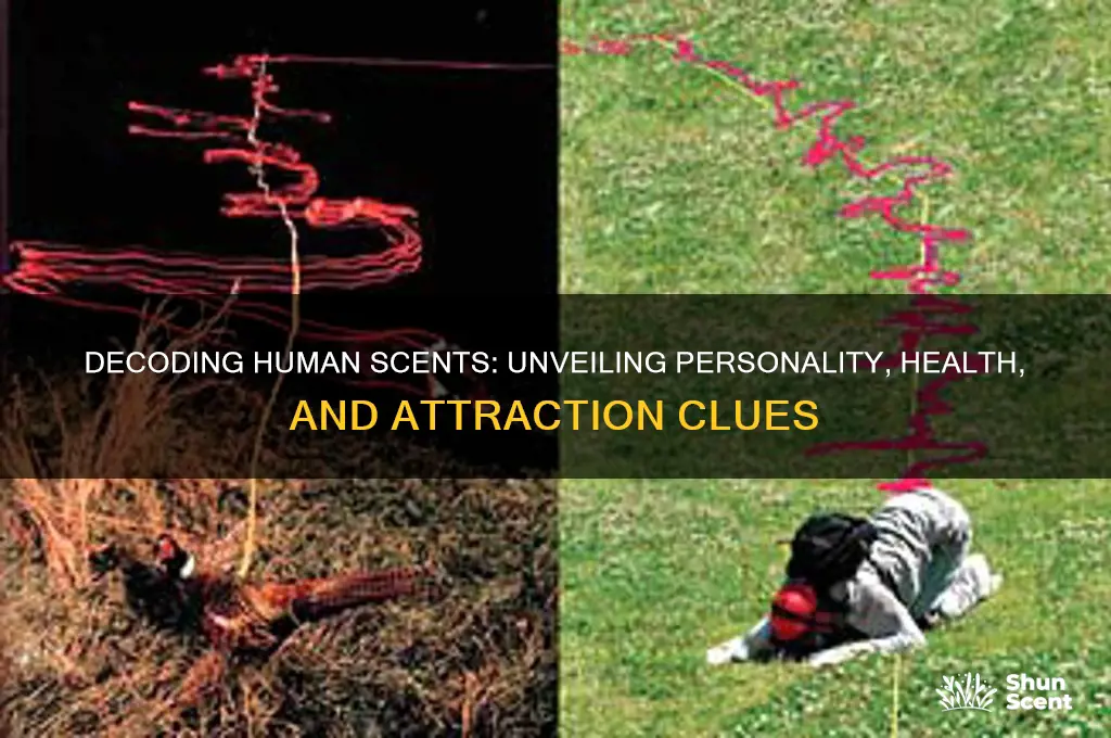 what can you tell by a persons scent