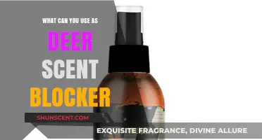 Effective Deer Scent Blocker Options for Stealthy Hunting Success