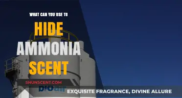 Effective Ways to Neutralize and Mask Ammonia Smell in Your Home