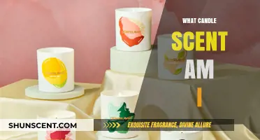 Discover Your Perfect Match: What Candle Scent Are You?
