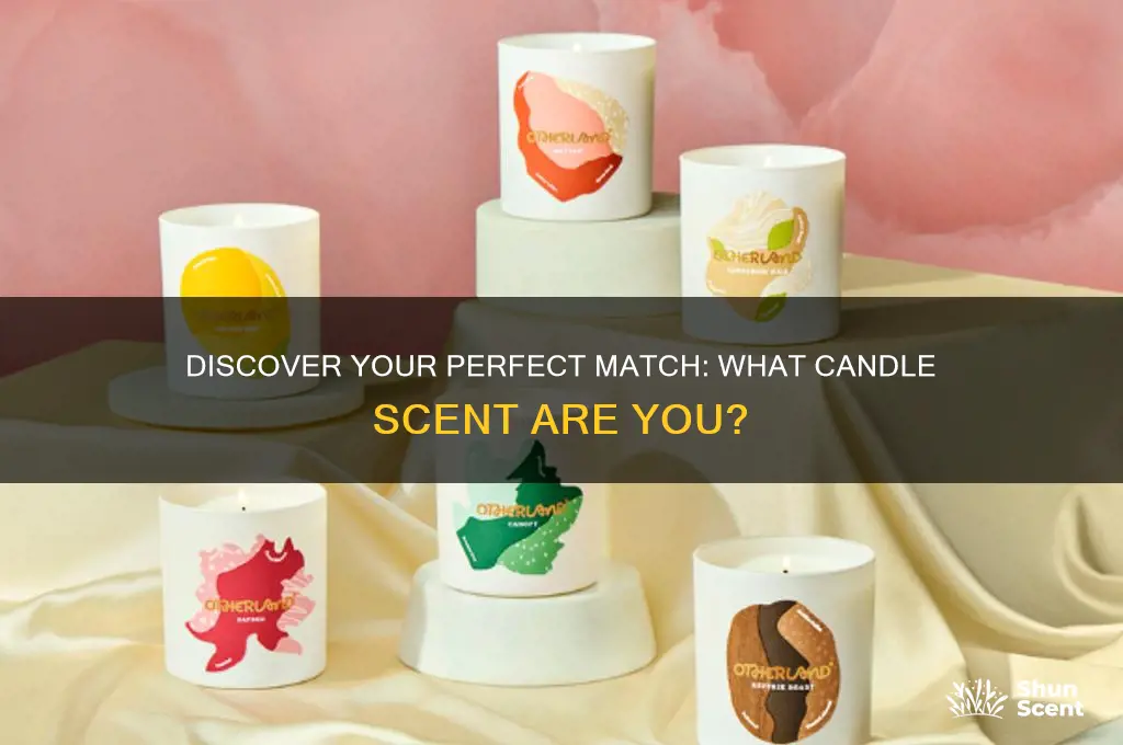 what candle scent am i