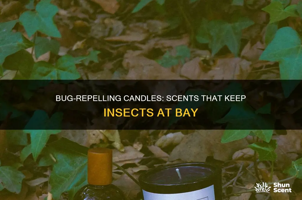 what candle scent do bugs hate