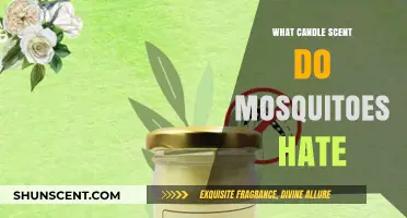 Repel Mosquitoes Naturally: Top Candle Scents They Hate Revealed