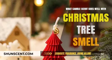 Festive Fragrance Pairings: Best Candle Scents to Complement Christmas Tree Aroma