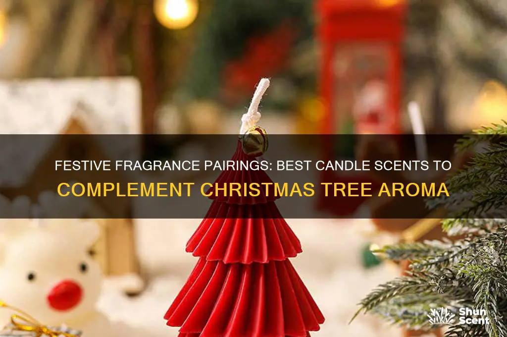 what candle scent goes well with christmas tree smell
