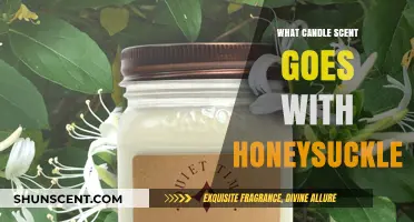 Honeysuckle Harmony: Perfect Candle Scents to Complement Its Sweet Aroma