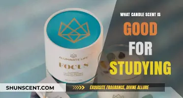 Boost Focus and Productivity: Best Candle Scents for Studying