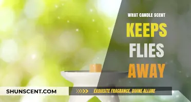 Repel Flies Naturally: Best Candle Scents to Keep Bugs Away