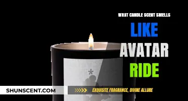Avatar Ride Scent: Discover the Candle That Captures Pandora's Magic