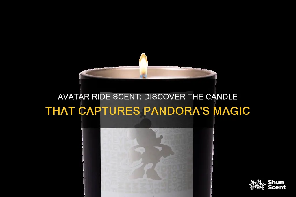 what candle scent smells like avatar ride