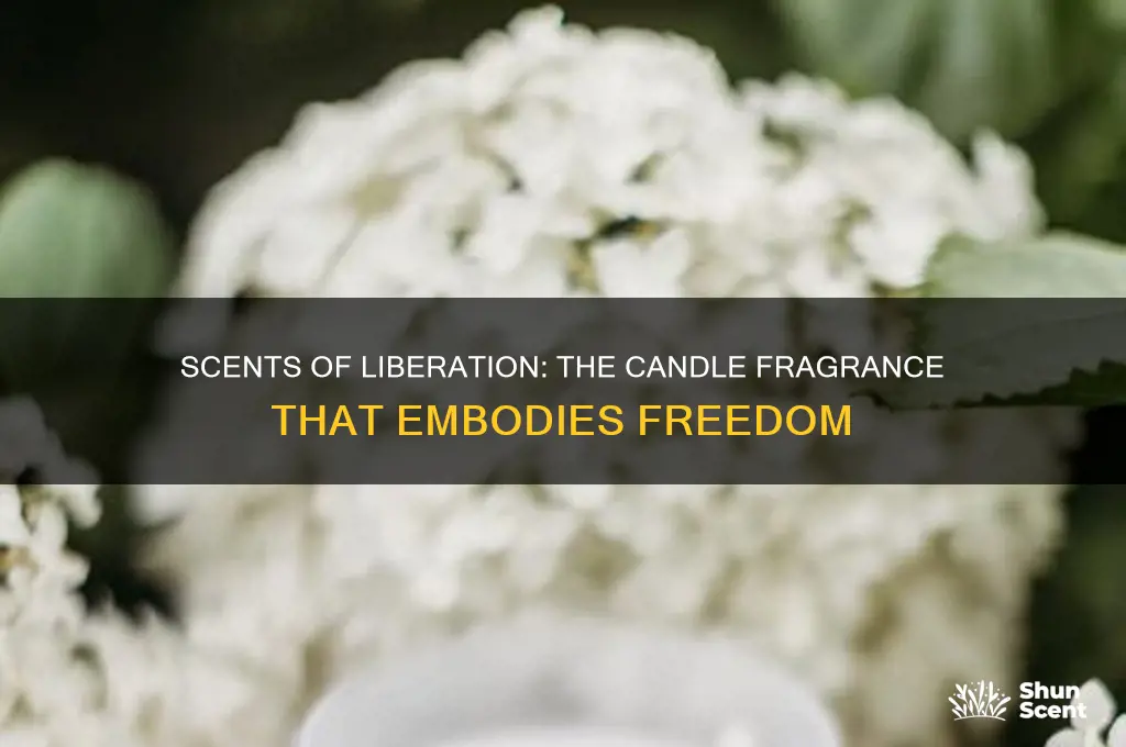 what candle scent would be associated with freedom