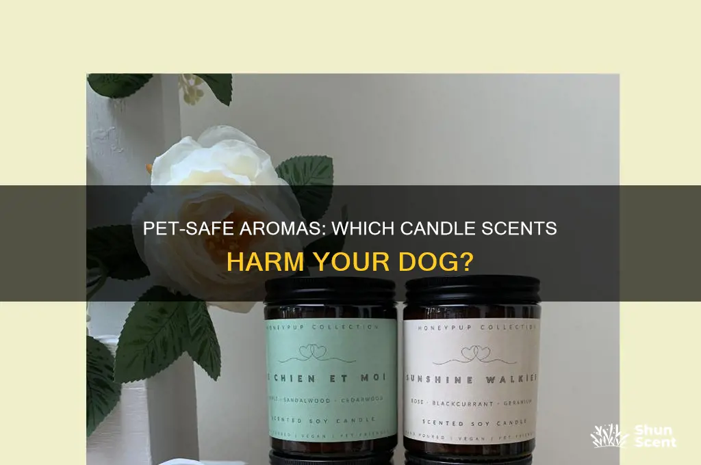 what candle scents are bad for dogs